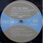 Various - Rock & Roll Survival (LP, Comp, Ele)
