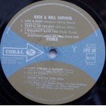 Various - Rock & Roll Survival (LP, Comp, Ele)