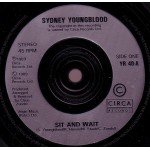 Sydney Youngblood - Sit And Wait (7