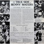 Benny Waters And His Swedish Band - The True Side Of Benny Waters (LP, Album)