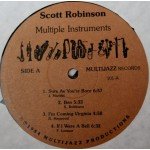 Scott Robinson (2) - Multiple Instruments  (LP, Album)