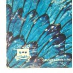Santana - Borboletta (LP, Album, RE)