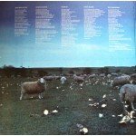 Lindisfarne - Back And Fourth (LP, Album, Gat)