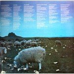 Lindisfarne - Back And Fourth (LP, Album, Gat)