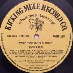 Duck Baker - When You Wore A Tulip (LP)