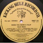 Duck Baker - When You Wore A Tulip (LP)