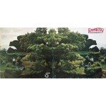 McGuinness Flint - Rainbow (LP, Album, Gat)