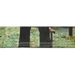 Marvin Gaye - What's Going On (LP, Album, RE)