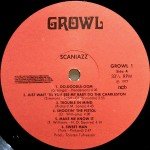 Scaniazz - Some Like It Hot (LP, Album)