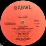 Scaniazz - Some Like It Hot (LP, Album)
