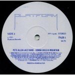 Pete Allen Jazz Band* - Gonna Build A Mountain (LP, Album)