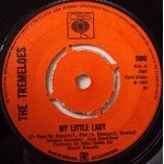 The Tremeloes - My Little Lady (7