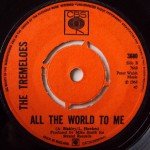 The Tremeloes - My Little Lady (7