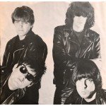 Ramones - Animal Boy (LP, Album, SRC)