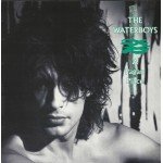 The Waterboys - A Pagan Place (LP, Album, RE, CBS)