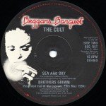 The Cult - Go West (Crazy Spinning Circles) (12