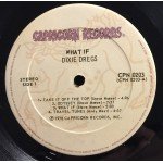 Dixie Dregs - What If (LP, Album)
