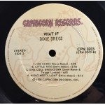 Dixie Dregs - What If (LP, Album)