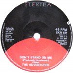 The Adventures - Broken Land (7