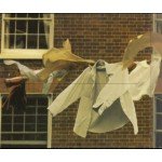 Kate Bush - Aerial (2xCD, Album)