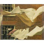 Kate Bush - Aerial (2xCD, Album)
