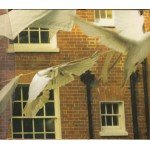 Kate Bush - Aerial (2xCD, Album)