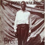 T-Bone Walker - The Inventor Of The Electric Guitar Blues (LP, Comp, Mono)
