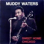Muddy Waters - Sweet Home Chicago (LP, Comp)