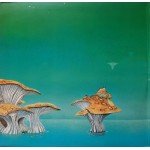 Yes - Yessongs (3xLP, Album, 