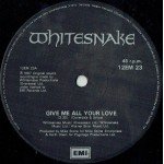 Whitesnake - Give Me All Your Love (12