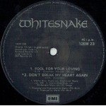 Whitesnake - Give Me All Your Love (12