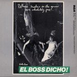 Bow Wow Wow - Go Wild In The Country (12