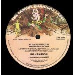 Bo Hansson - Music Inspired By Watership Down (LP, Album)