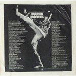 David Bowie - The Man Who Sold The World (LP, Album, RE)