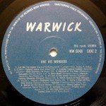 Various - One Hit Wonders (20 Extra-Ordinary Hits) (LP, Album, Comp)
