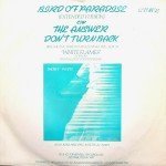 Snowy White - Bird Of Paradise (12