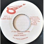 Robert Minott - If You Want My Loving (7