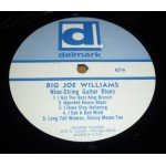 Big Joe Williams - Nine String Guitar Blues (LP, Album, Mono)