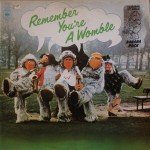 The Wombles - Remember You're A Womble (LP)