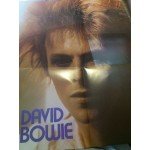 David Bowie - Space Oddity (LP, Album, RE, Can)