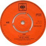 The Rip Chords - Gone / She Thinks I Still Care (7