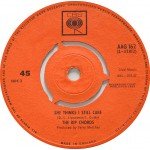 The Rip Chords - Gone / She Thinks I Still Care (7