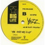 Yazz And The Plastic Population - The Only Way Is Up (12