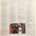Sting - ...Nothing Like The Sun (2xLP, Album)