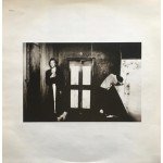 Sting - ...Nothing Like The Sun (2xLP, Album)