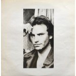 Sting - ...Nothing Like The Sun (2xLP, Album)