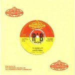 Chuck Berry - The Promised Land (7