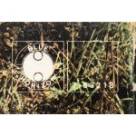 Chicken Shack - 100 Ton Chicken (LP, Album, Gat)