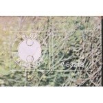 Chicken Shack - 100 Ton Chicken (LP, Album, Gat)