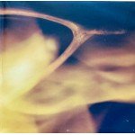 Wishbone Ash - Wishbone Ash (LP, Album, Pin)